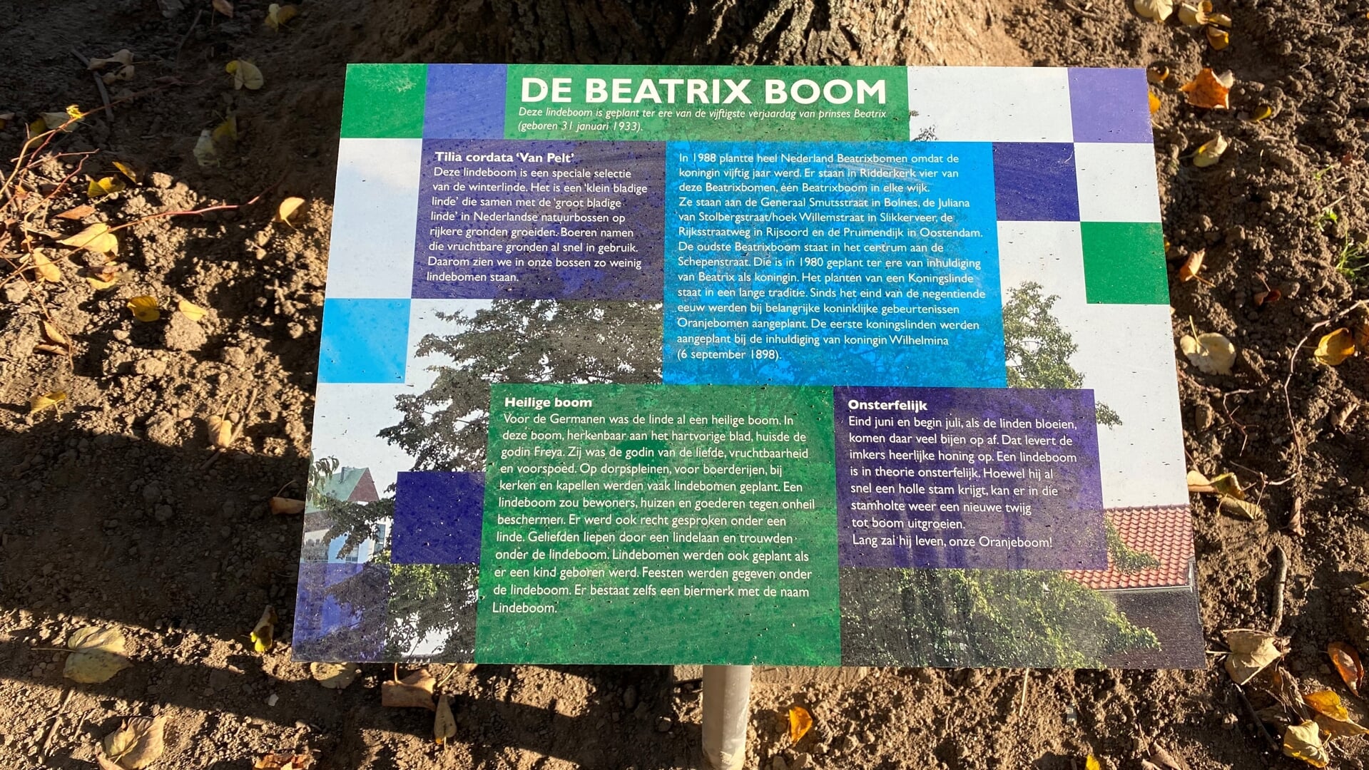 Het bordje bij de Beatrixboom in Bolnes