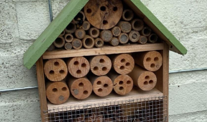 Maak Je Eigen Insectenhotel Op De Kleine Duiker Al Het Nieuws Uit Barendrecht