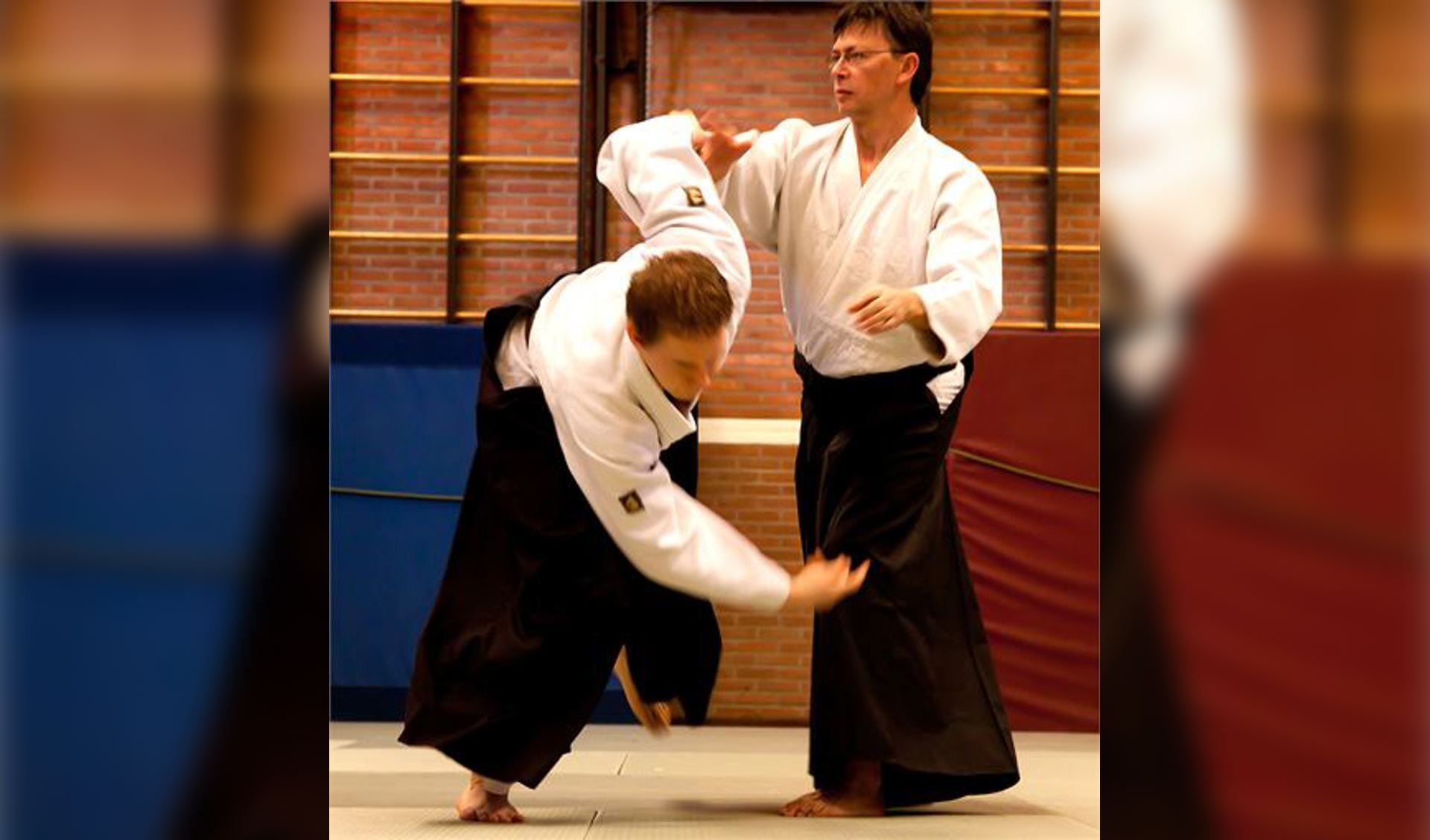 Eddy Nuijten demonstreert een aikido-techniek (foto Har van Tol) Plaats
