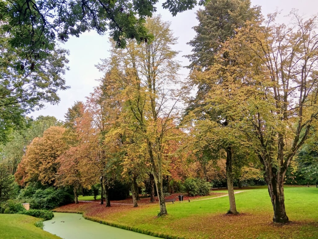 Boven: “Na een regendag eind van de middag genieten van de prachtige herfstkleuren in park Buitenboord.” (foto: Arina Mastbergen)Rechts: Verrassing: zeehond op een strekdam langs de Oude Maas.Onder: Regenboog boven de wijk Bijdorp.