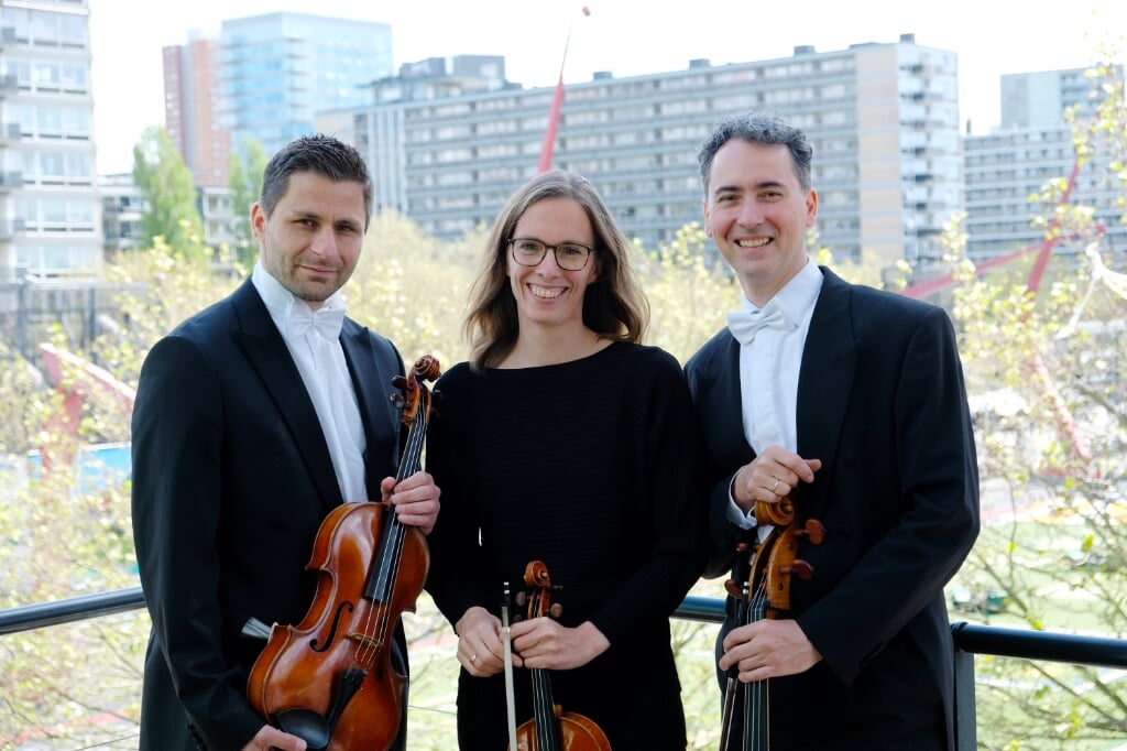 Altviolist Galahad Samson, violiste Eefje Habraken en cellist Daniel Petrovitsch.