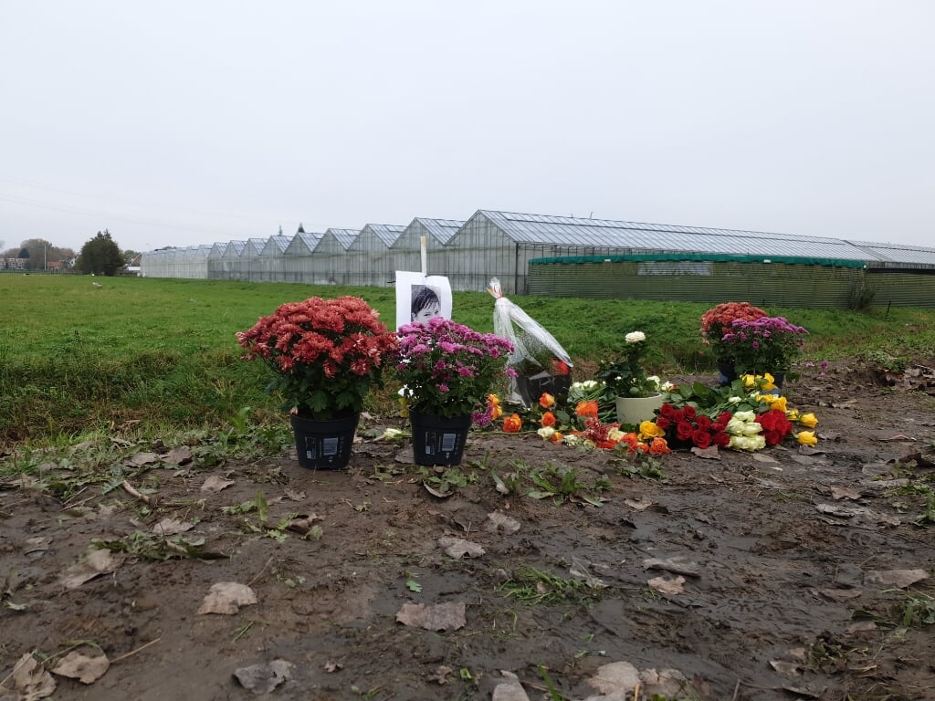 Bloemen en planten op de plaats van het ongeval.