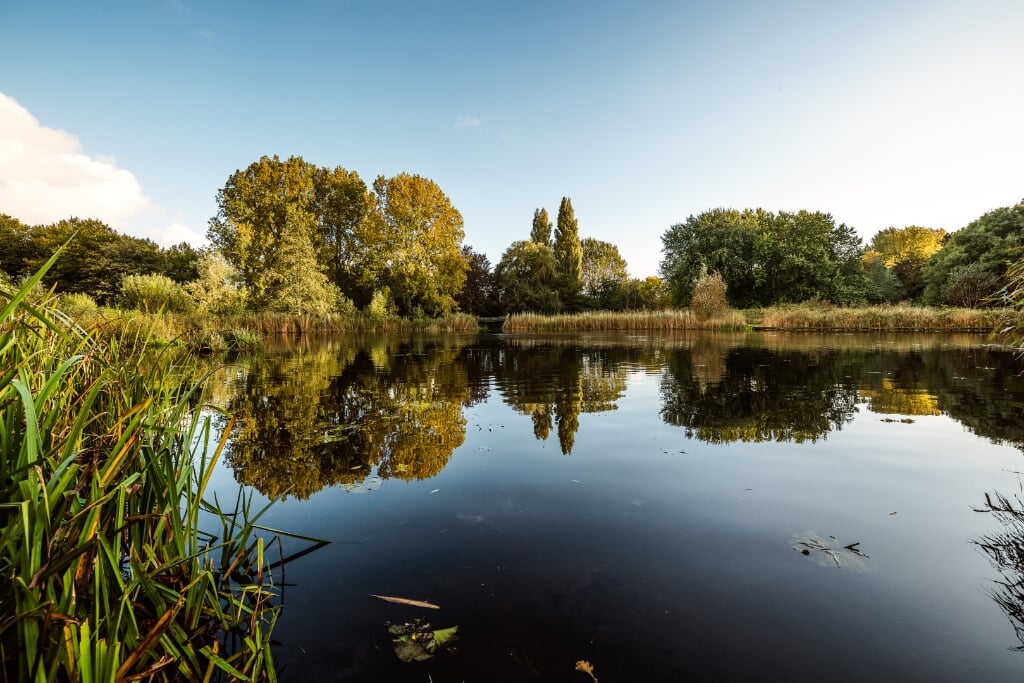 Het water van het Reijerpark scoort goed met biodiversiteit