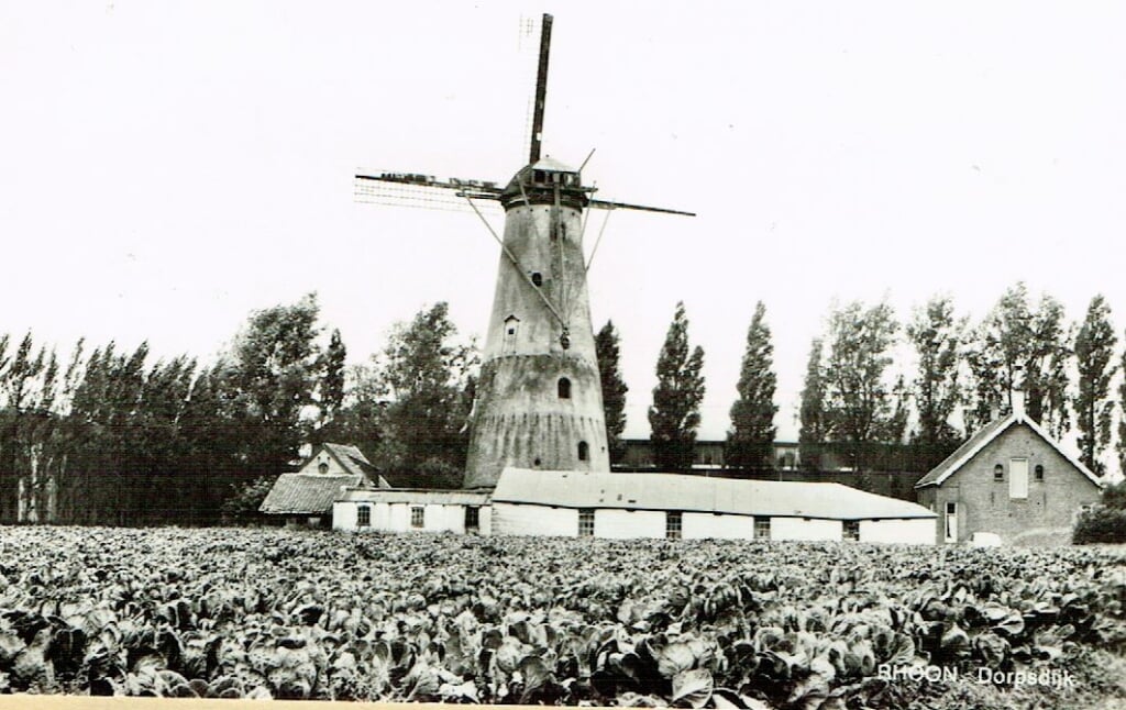 Molen 't Hert stond vroeger op de hoek van de Dorpsdijk en Rhoonse dijk.