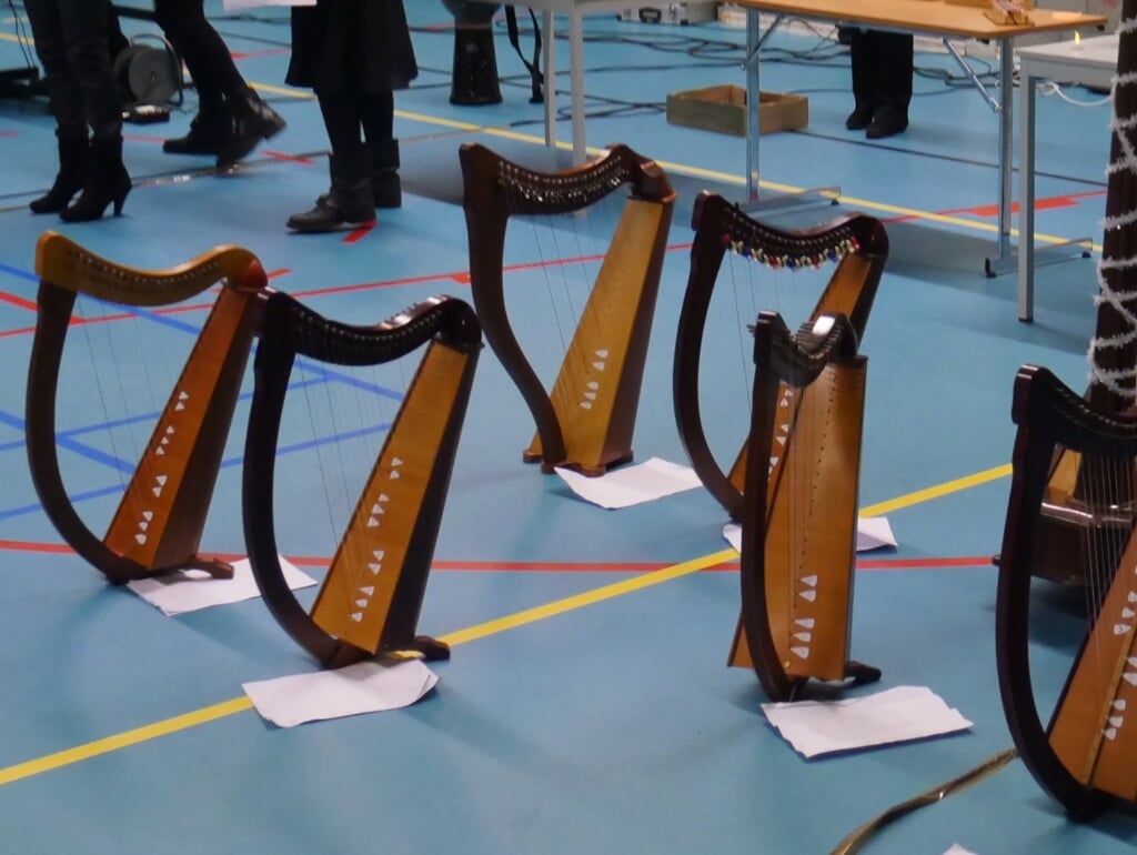 Ook de harp komt aan bod bij Meer Muziek in de Klas (foto Wim Soeters) 