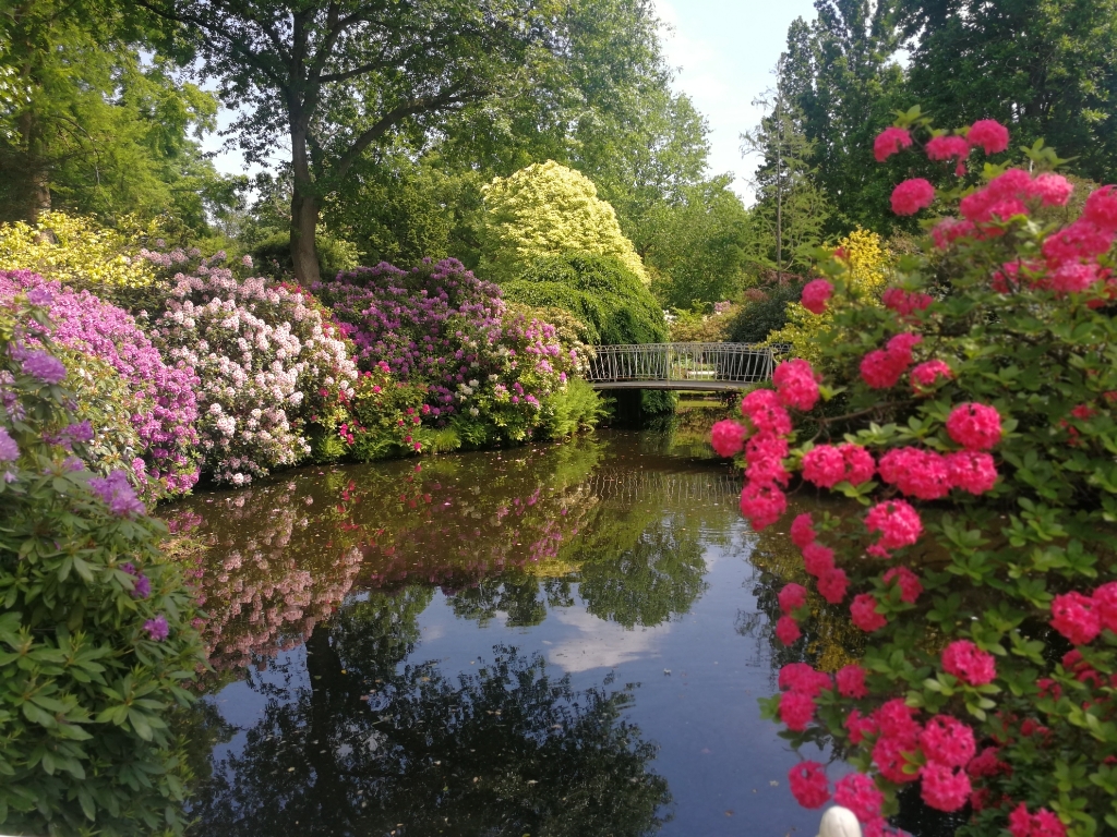 Teun van der Lee bezocht het Arboretum in Rotterdam met bewoners van Laurens Dorpsveld.