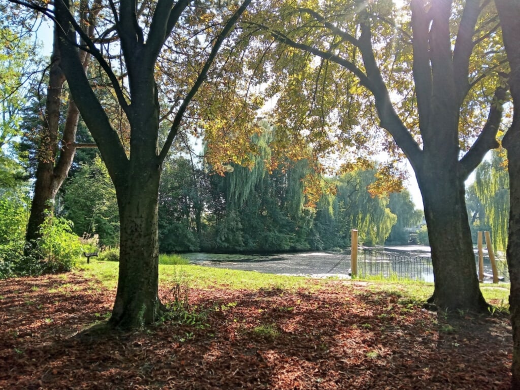 Herfst in park De Bongerd. (foto: Arina Mastbergen)