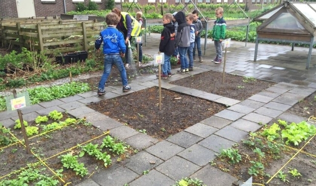 Spelenderwijs leren moestuinieren.
Er loopt altijd wel iemand rond om te helpen.