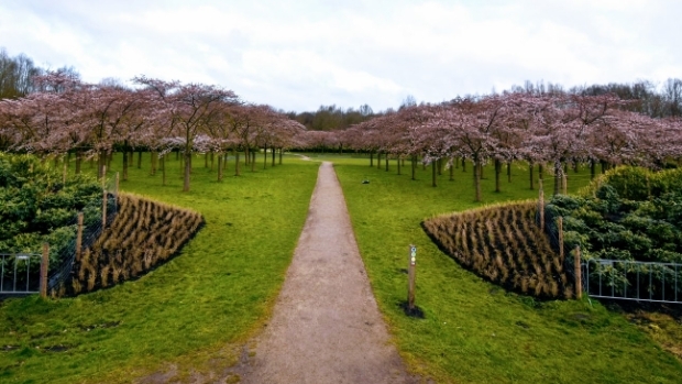 Natuurwerkdag in Bloesempark in Amsterdamse Bos