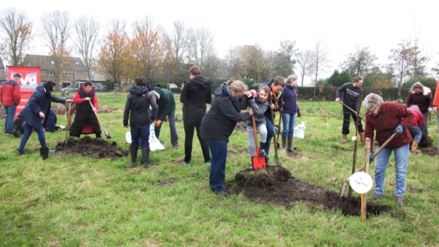 Massaal de handen uit de mouwen om bomen te planten