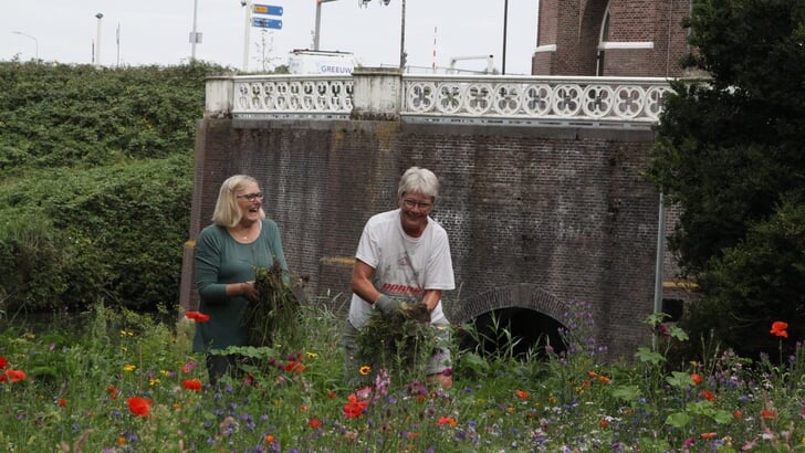 Janny en Anneke aan het werk in de museumtuin. Foto Frans Witteman.