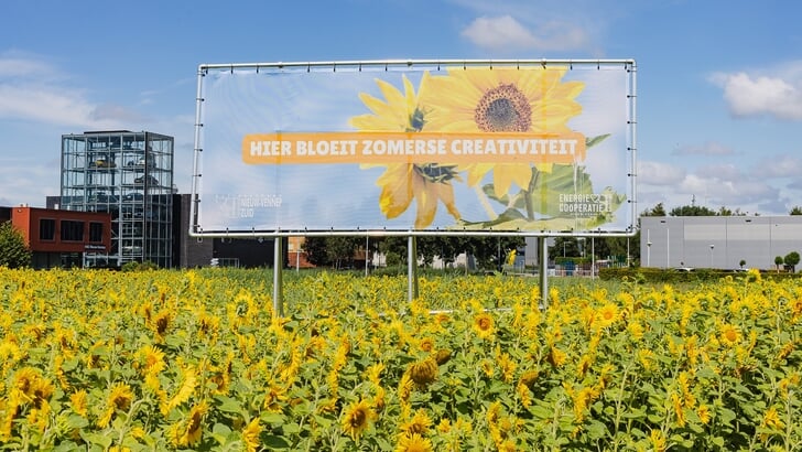 In het bloemenveld prijkt een bord met de tekst: 'Hier bloeit zomerse creativiteit'.