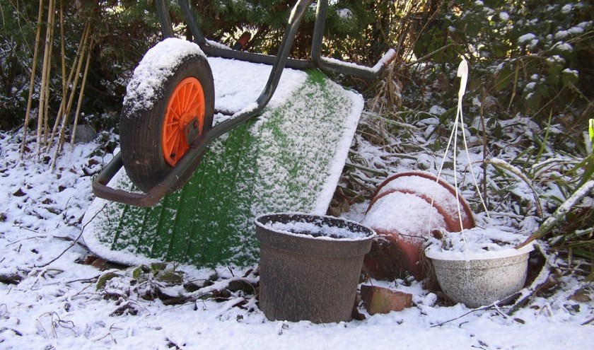 Oktober hét moment om de tuin winterklaar te maken