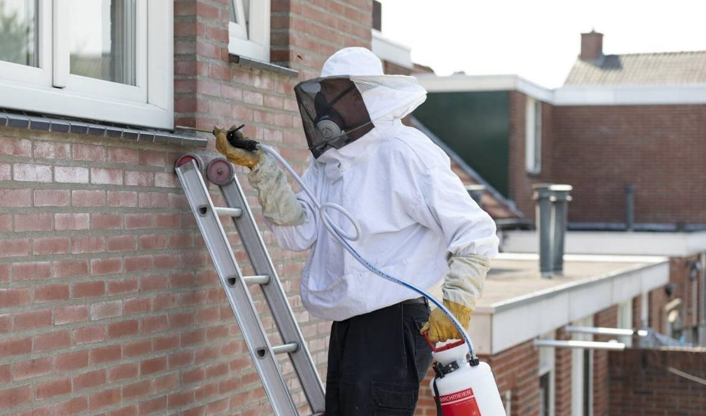 Zelf bestrijden is doorgaans niet de beste keuze: laat het over aan de professional.