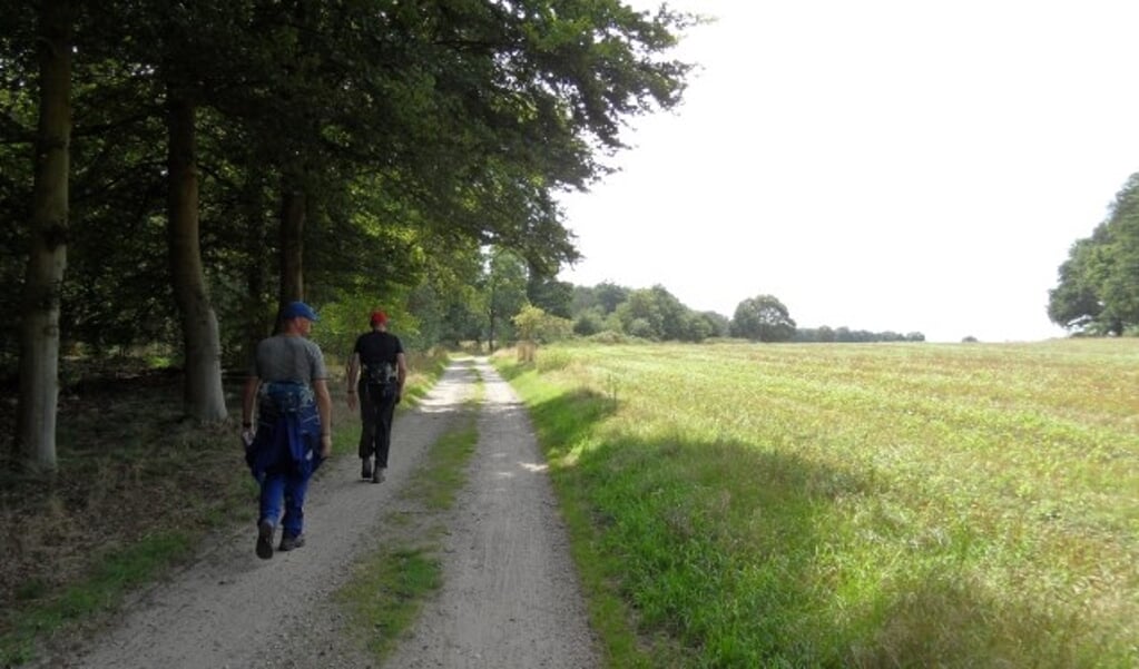 Al 40 jaar lopen vele wandelaars de Amortocht van Wandelsportvereniging Haarle.