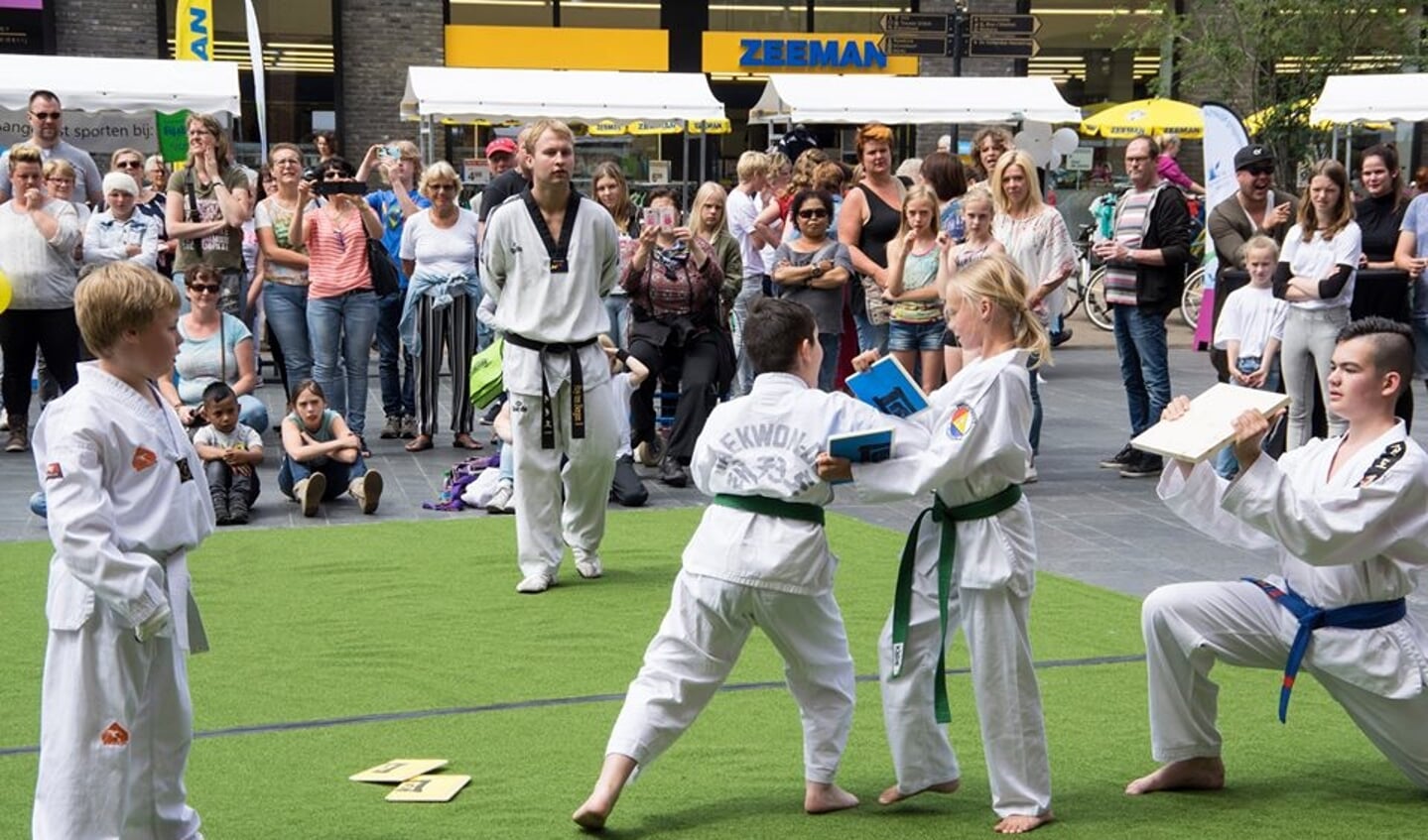 Sportverenigingen in de gemeente Hellendoorn laten zien wat ze in huis hebben tijdens het Sport- en Cultuurfestival.