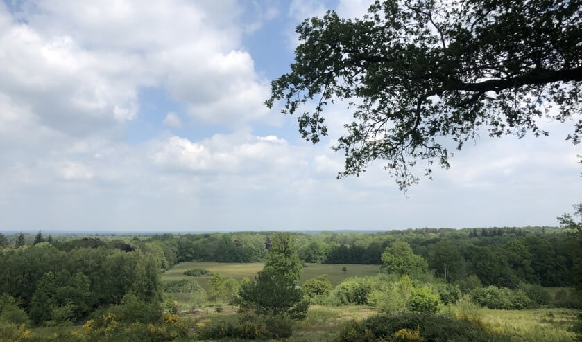 <p>Goed beheer van het landschap is belangrijk om dit ook voor de toekomst te behouden én te versterken. Pachters dragen hier aan bij.</p>