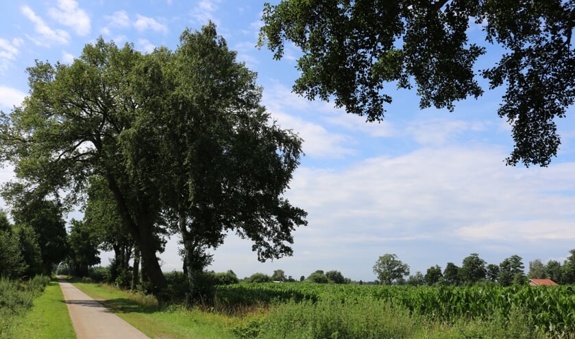 RIJSSEN - Het gebied tussen Ligtenbergerdijk, Ploegweg en Schoneveldsdijk waarop de gemeente het oog heeft laten vallen.