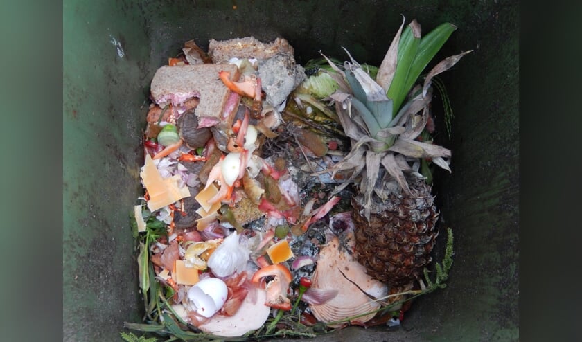 <p>Een container vers GFT levert meer biogas op; ROVA stimuleert daarom de bak eerder aan de straat te zetten ook als deze bijna leeg is.</p>