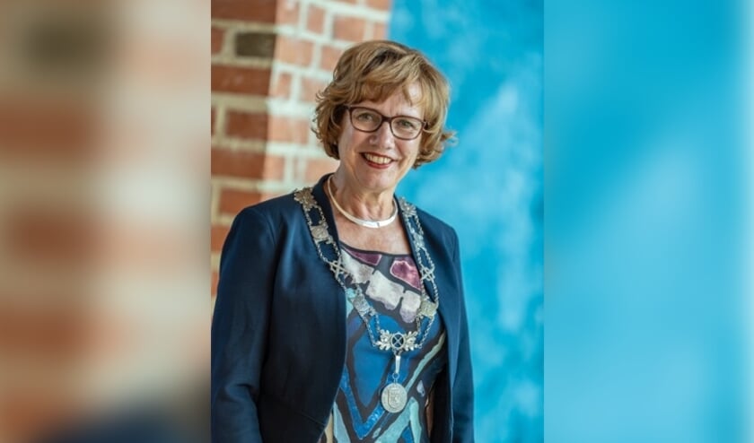 <p>28 kandidaten hebben laten weten in de voetsporen van burgemeester Anneke Raven te willen treden.</p>