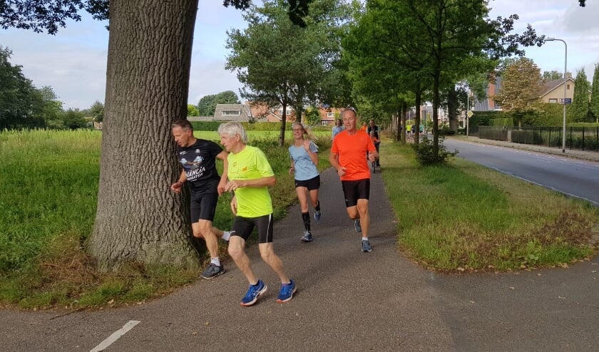 <p>Oefenlopers op het nieuwe parcours van de Engelse Mijlenloop van Haaksbergen. </p>
