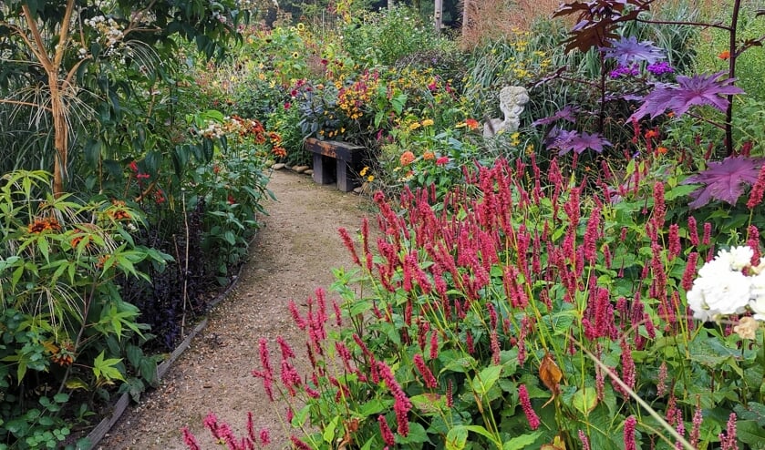 <p>Tuin Beckelo is zondag toe aan de vierde Open Dag sinds juli.</p>