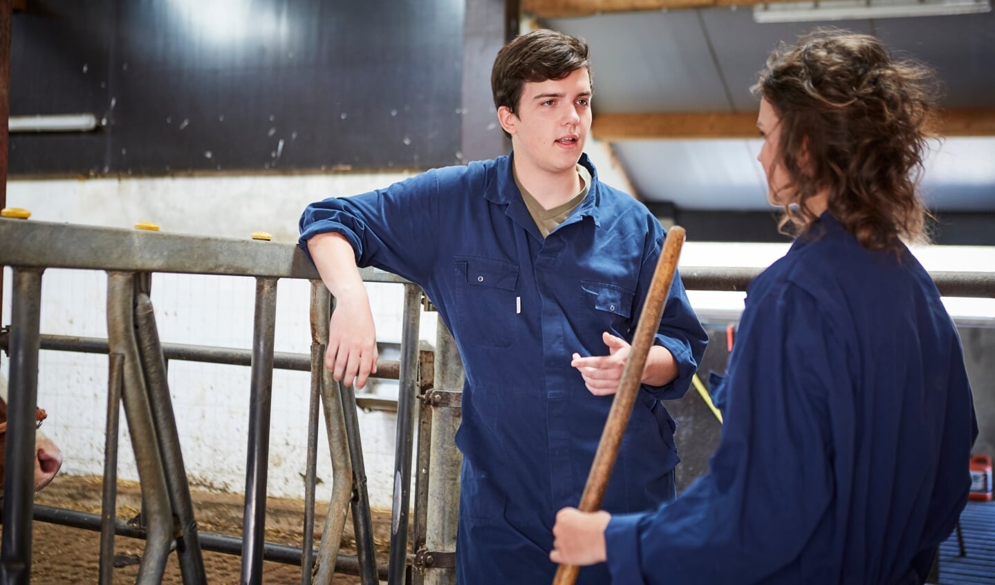 Studenten Veehouderij van het Zone.college ervaren bij echte bedrijven de dagelijkse praktijk zoals hier bij melkveebedrijf Versteeg in Bornerbroek.