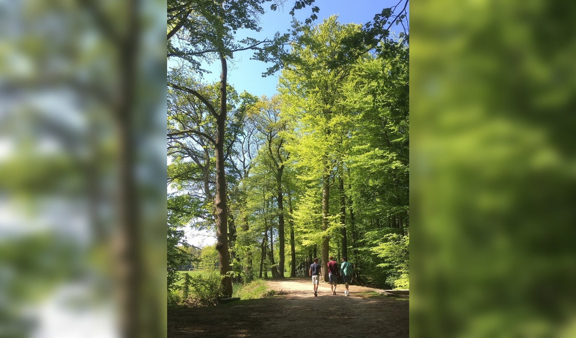 Overijssel heeft de fervente wandelaar veel moois te bieden. Dit is ook wel duidelijk uit de groeiende populariteit van wandelroutes in onze regio.