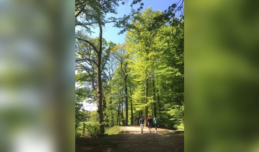 <p>Overijssel heeft de fervente wandelaar veel moois te bieden. Dit is ook wel duidelijk uit de groeiende populariteit van wandelroutes in onze regio.</p>