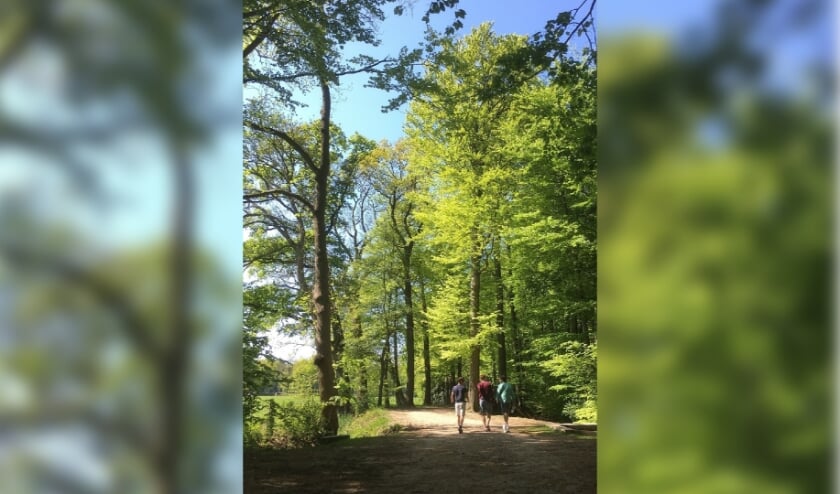 <p>Overijssel heeft de fervente wandelaar veel moois te bieden. Dit is ook wel duidelijk uit de groeiende populariteit van wandelroutes in onze regio.</p>