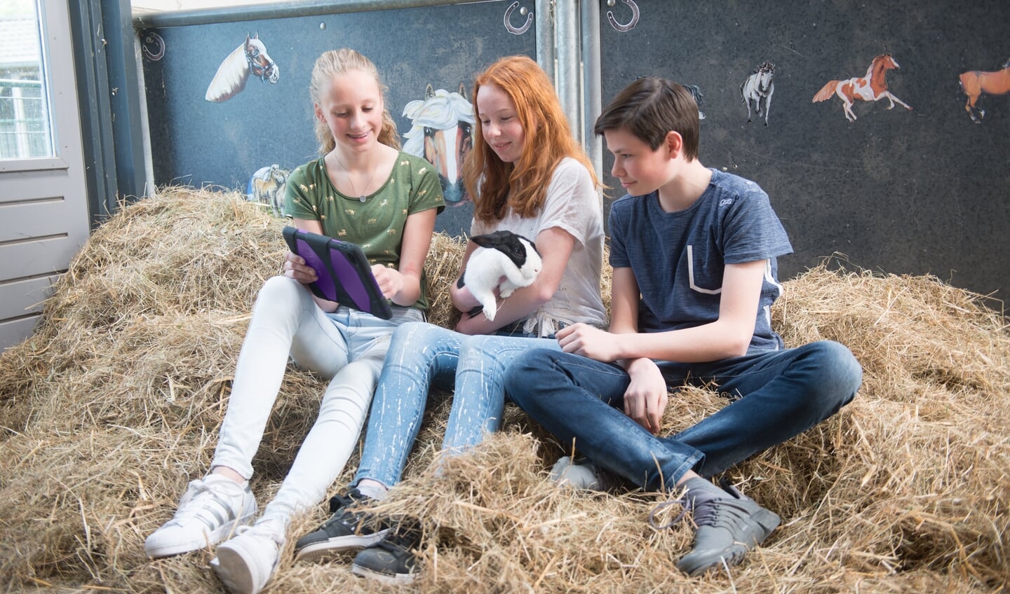 Het Zone.college aan de Hengelosestraat houdt een een informatieavond op 1 december.