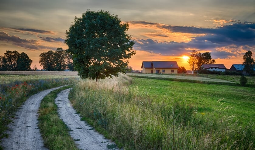 <p>In de tweede podcast in de serie Plattelandspodcast van Stimuland wordt gekeken naar de verschillen tussen platteland en stad.</p>