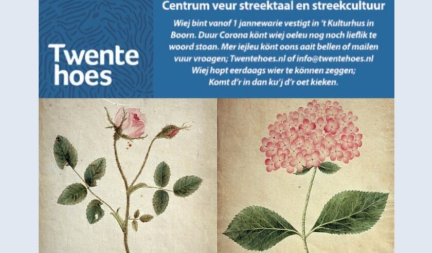 <p>Afbeeldingen van Johanna Elderink-Blijdenstein (1797-1820)<br>Bloeiende Hortensia datering 1815, Bloeiende Rozentak datering 1813<br>Collectie Vereniging Oudheidkamer Twente</p>