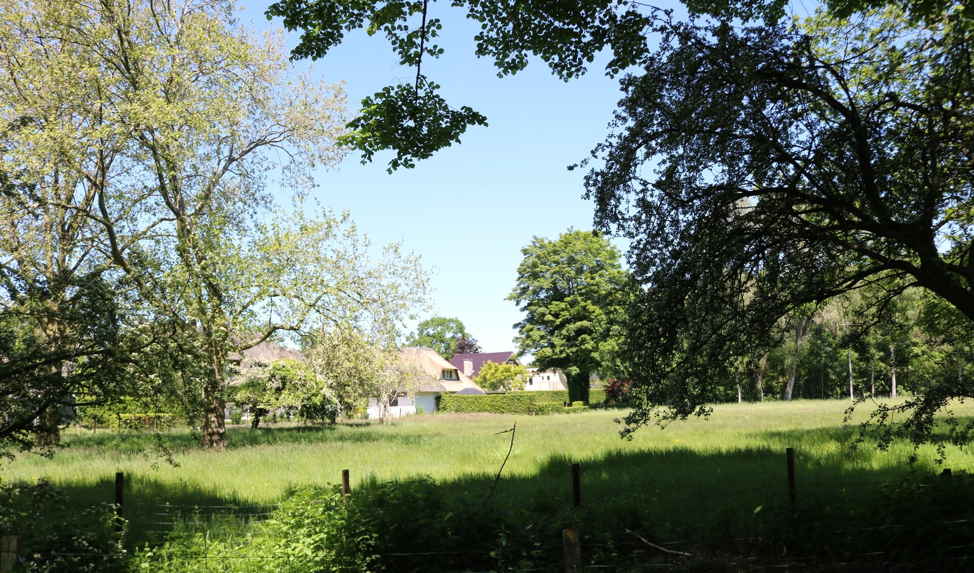 RIJSSEN - Het bouwgebied voor drie woningen achter de Stokmansveldweg gezien vanaf de Korteboslaan.