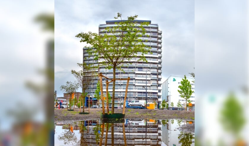 <p>De Haaksbergerstraat wordt groener. (Foto: gemeente Enschede)</p>
