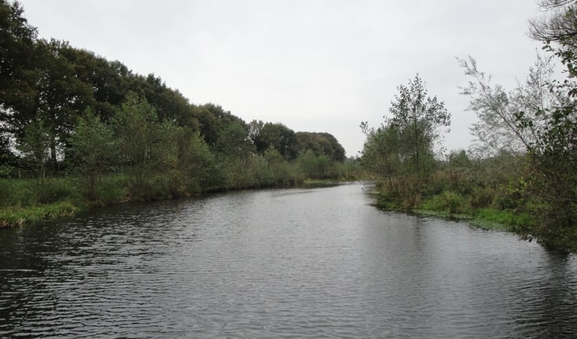 <p>De Regge: bron van leven in de brede zin. Loop mee en ontdek wat er allemaal te vinden is in de natuur rondom deze rivier.</p>