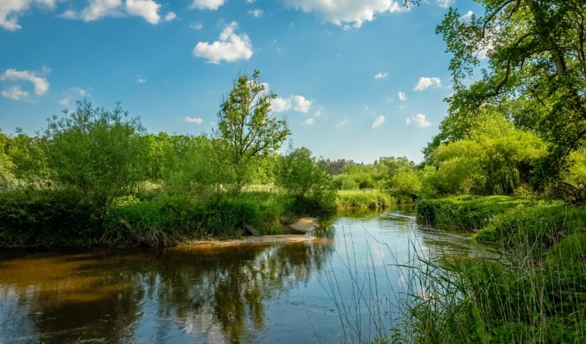 <p>De Dinkel door het Lutterzand: te veel én te weinig water kunnen voor uitdagingen zorgen.</p>