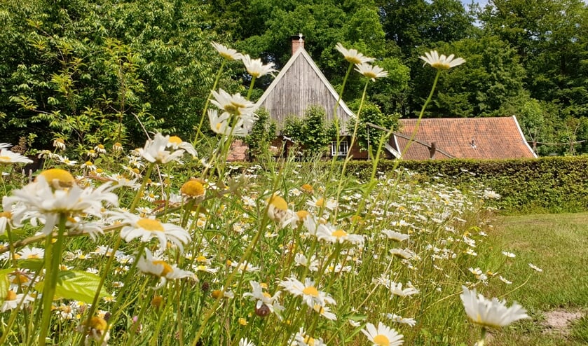 <p>Het bezoekerscentrum is op zondag geopend van 13.00 tot 17.00 uur.</p>