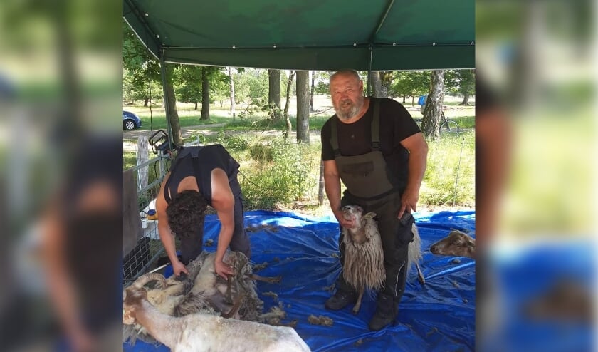 <p>Jos Duurland (rechts) maakt zich zorgen om het voortbestaan van de kudde.</p>