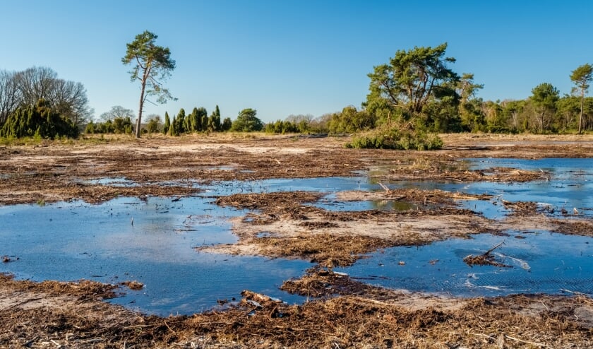 <p>Het Buurserzand. Wateraanvoer en retentie in de regio is belangrijk voor de drinkwatervoorziening en voor behoud van kwetsbare natuur.</p>