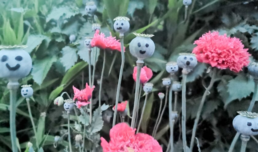 <p>Tuin Beckelo houdt zondag een open dag. Daar word je vrolijk van.</p>