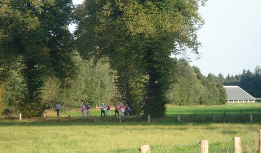 <p>Wandelaars onderweg tijdens een zomeravondwandeling. Foto: Hennie Horst.</p>