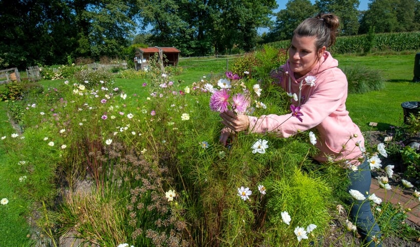 <p>Mirthe Koetse plukt bloemen in de Inspiratiehoeve. (Foto: Robert Hoetink)</p>