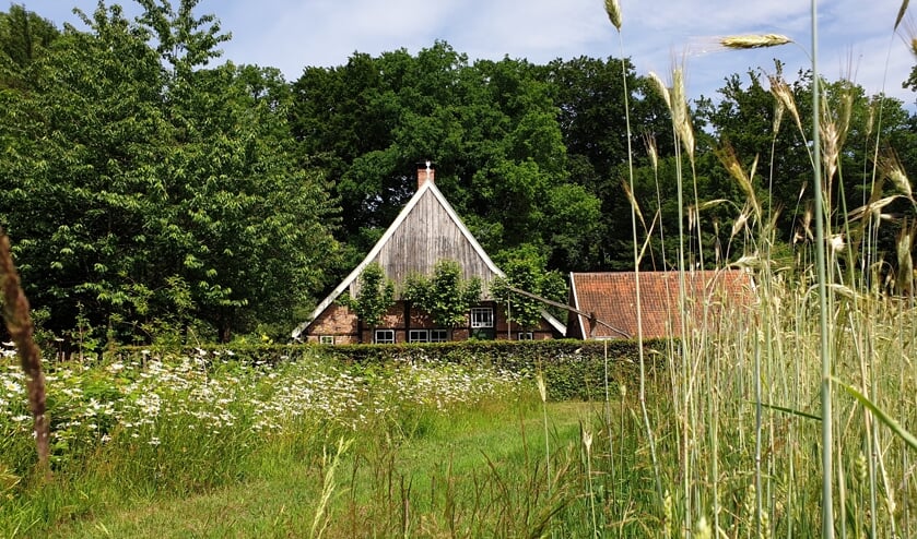 <p>Ook het Koetshuis, de Heemtuin, de Viermarkenlinde en de Oldenhof gaan open.</p>