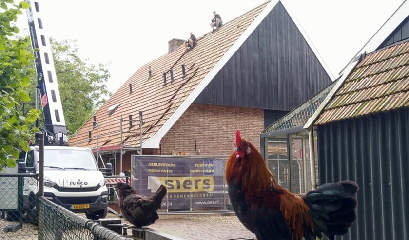 <p>Een verbouwing? Daar kraait geen haan naar. (Foto: Frans Feil)</p>