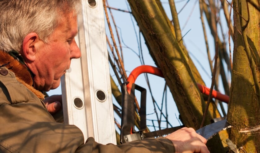 <p>Leer hoe u een boom veilig omzaagt en daar laat landen waar u dat graag wilt tijdens de workshop vel- en zaagtechnieken. </p>