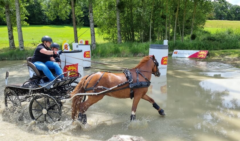 <p>Marloes van ‘t Veld heeft veel geïnvesteerd. Zelf een pony gekocht en getraind. Dit wordt nu beloond met een deelname aan WK mennen.</p>