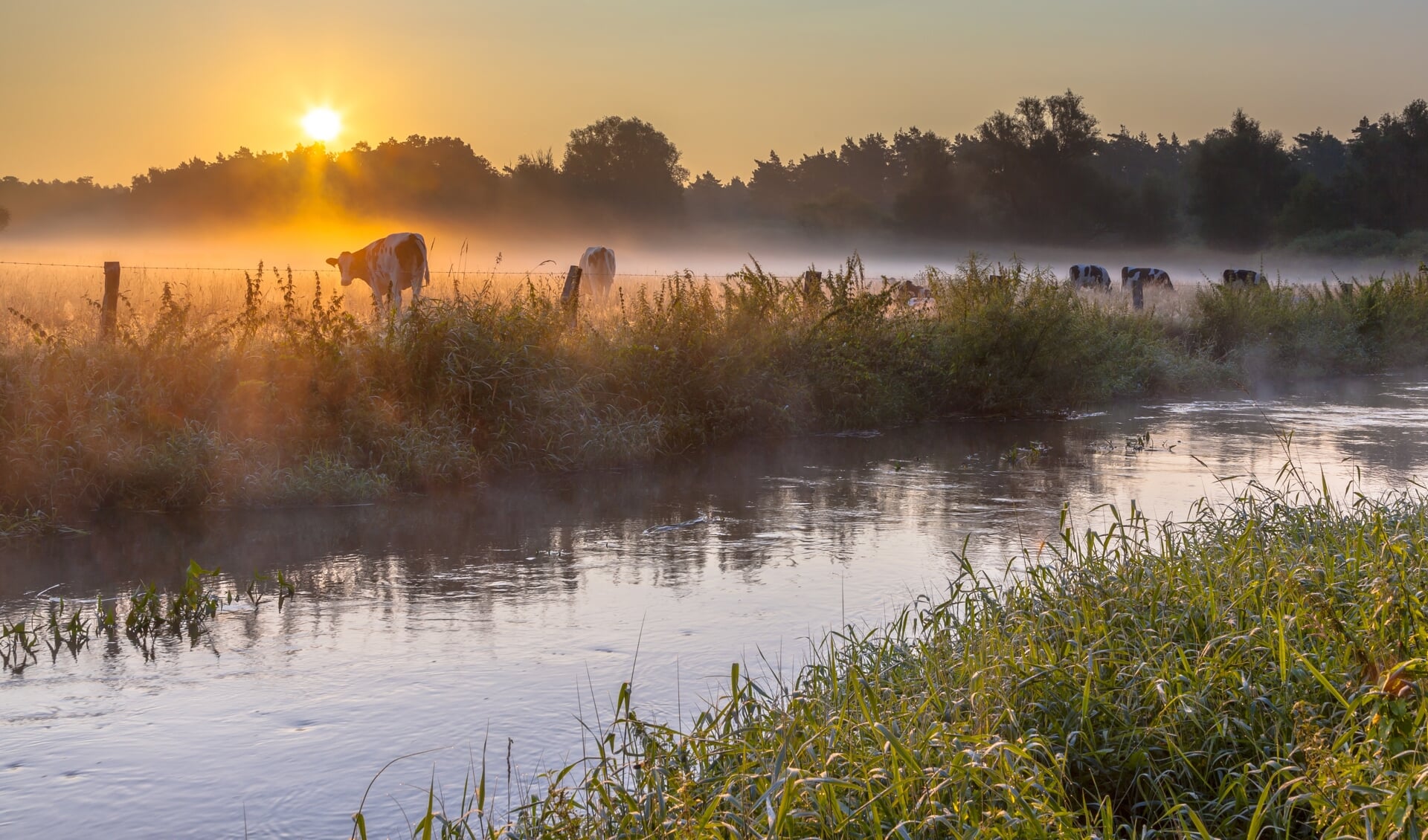 De rivier De Dinkel; één van de belangrijke watergangen in de regio. Het vinden van een goede balans tussen te veel en te weinig water is belangrijk om de natuur én landbouw te behouden.