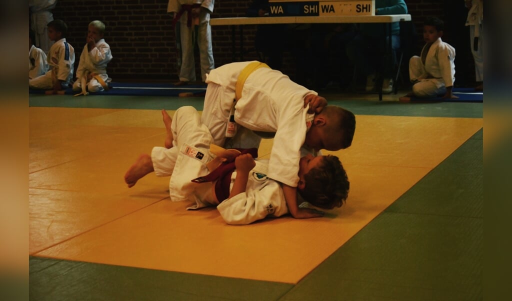 Judo Almelo vindt zich 'een gezellige vereniging'.