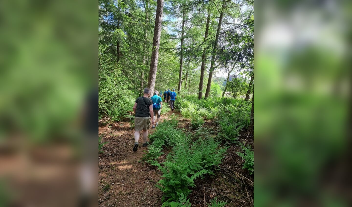 Ongeoefende wandelaars kunnen bij Ambulare trainen voor de vierdaagse